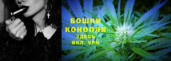 дмт Елизово