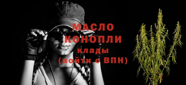 дмт Елизово