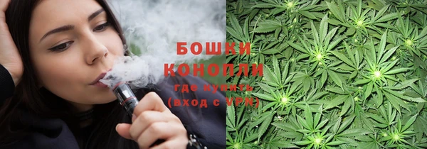 mix Ельня