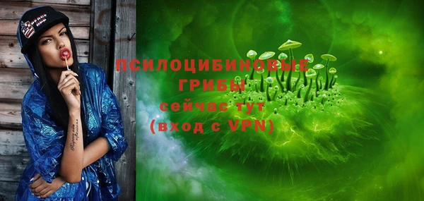 гашик Елабуга