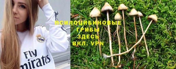 гашик Елабуга